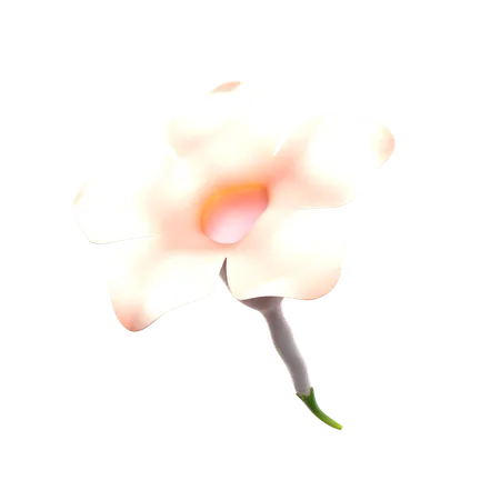 Natural Flower  3D Icon
