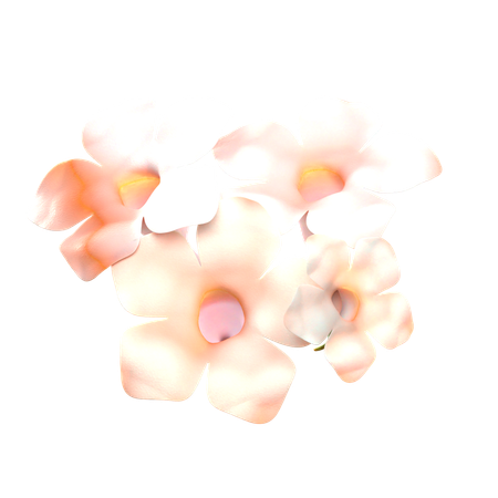 Natural Flower  3D Icon