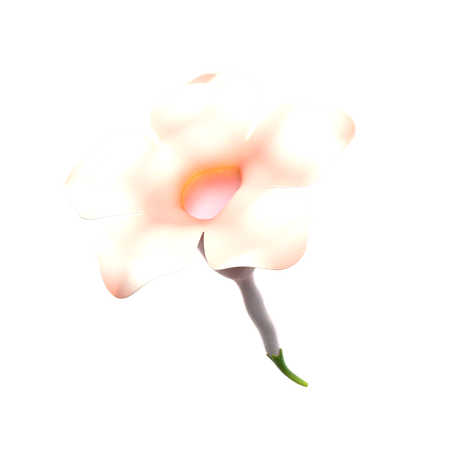 Natural Flower  3D Icon