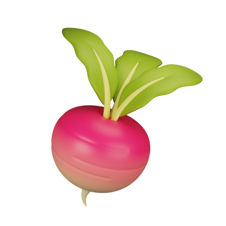 Navet  3D Icon