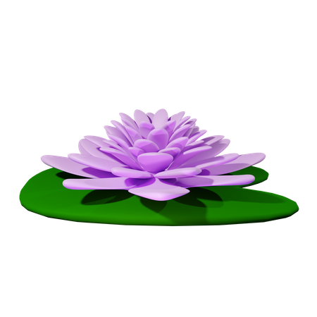 Nenúfar  3D Icon