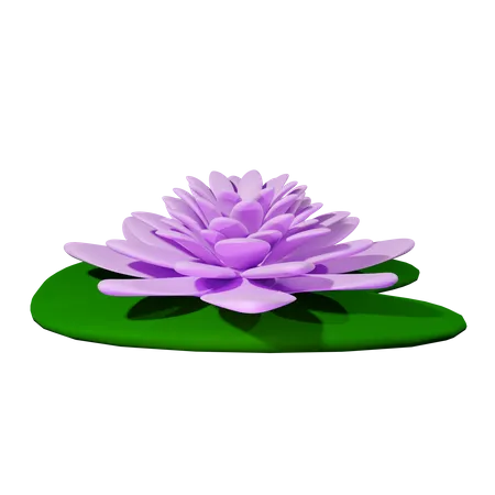 Nenúfar  3D Icon