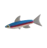 Neon Tetra