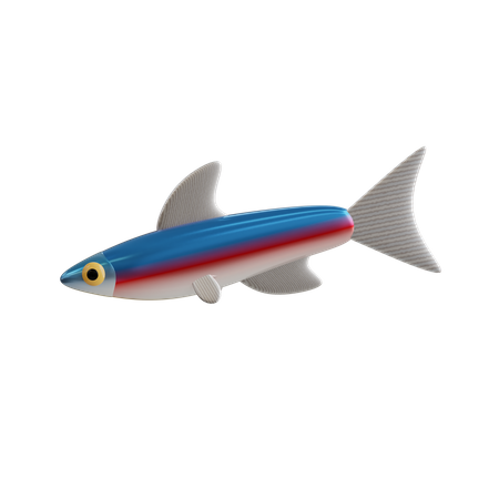 Neonsalmler  3D Icon