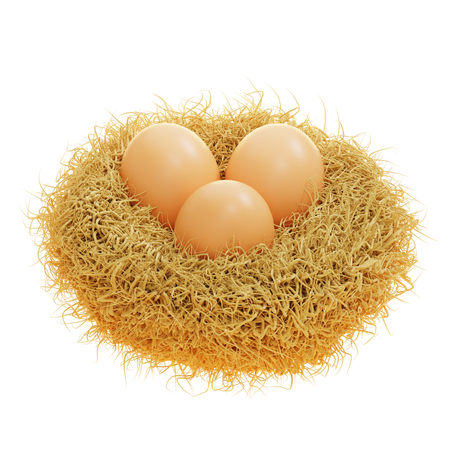 Nest  3D Icon