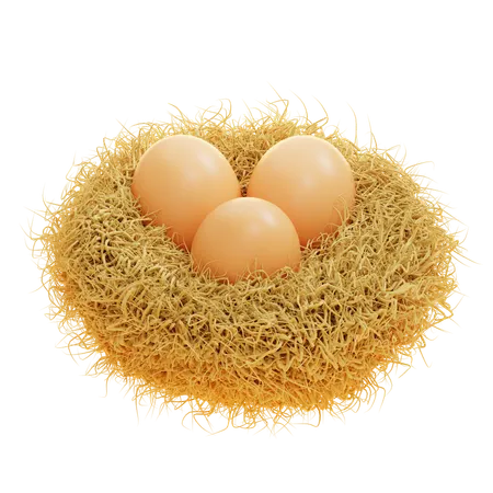 Nest  3D Icon