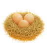 NEST