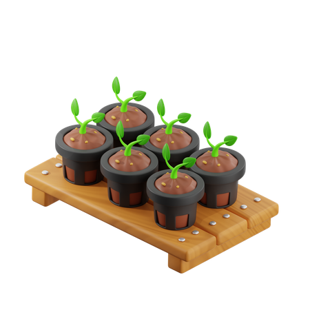 Net Pot for Hydroponic  3D Icon