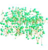 neuronales Netzwerk Gehirnstruktur