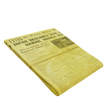 Newspaper  3D Illustration