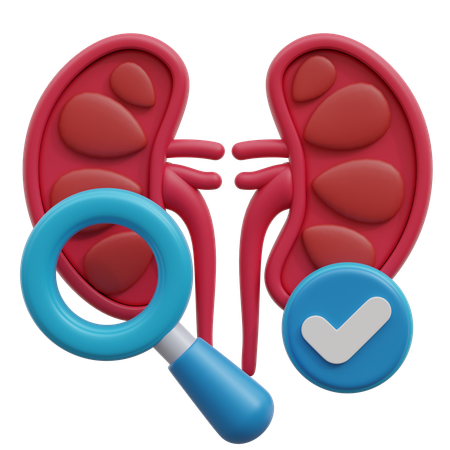 Nierenfunktionstest 3D Icon