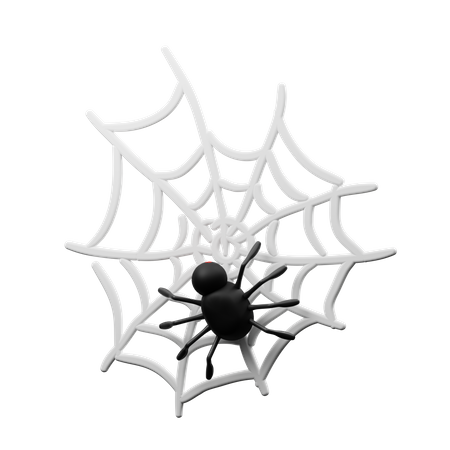 Ninho de aranha e aranha  3D Icon