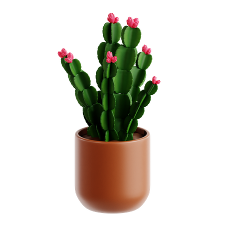 Cactus de Noël  3D Icon