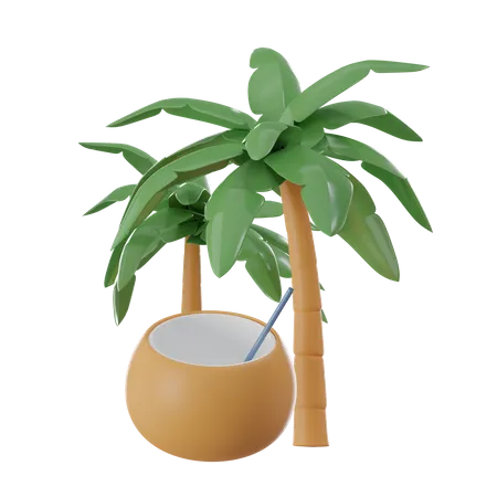 Noix de coco  3D Icon