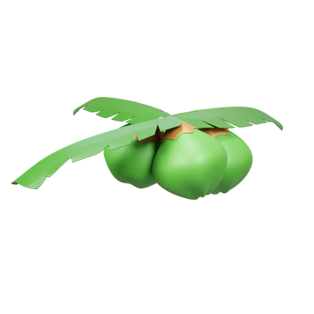 Fruit de noix de coco  3D Icon