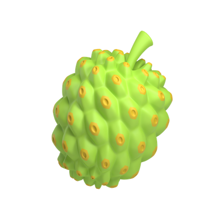 Noni  3D Icon