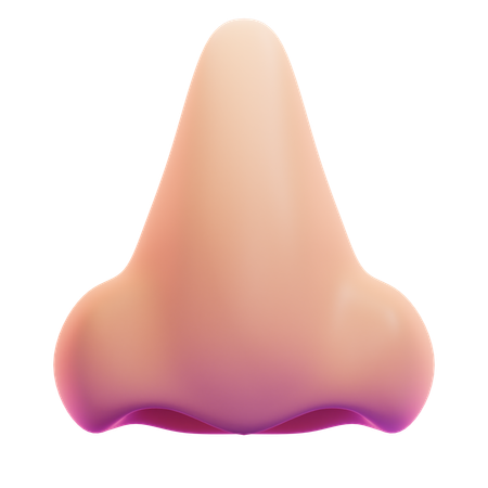 NOSE  3D Icon