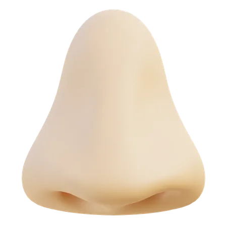 Nose  3D Icon