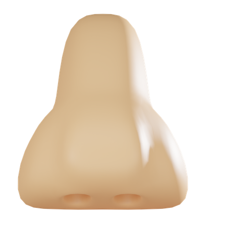 Nose  3D Icon