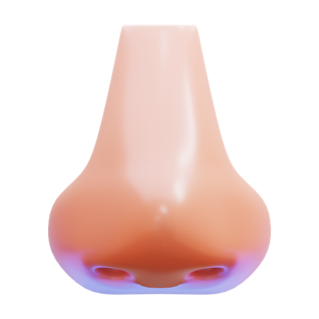 Nose  3D Icon