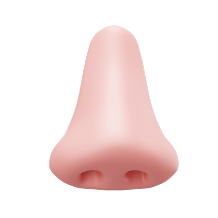 Nose  3D Icon