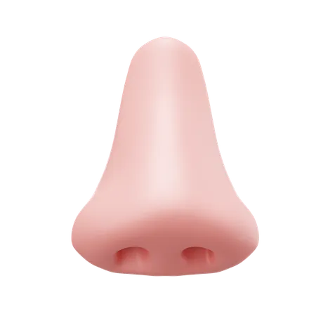 Nose  3D Icon