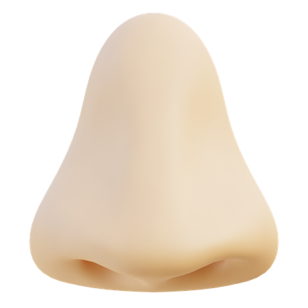 Nose  3D Icon