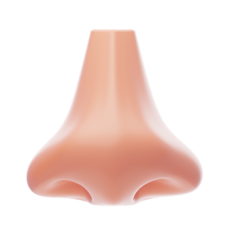 Nose  3D Icon