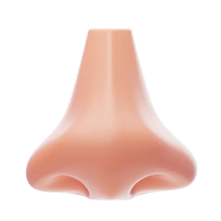 Nose  3D Icon