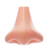 Nose