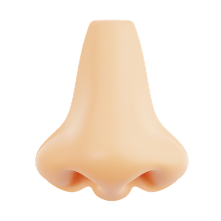 Nose  3D Icon