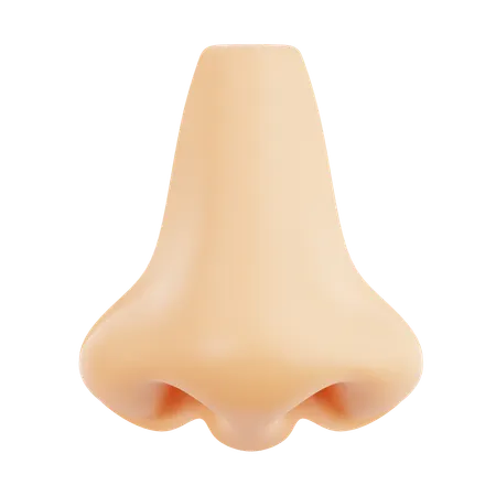 Nose  3D Icon