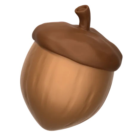 Noz de bolota  3D Icon