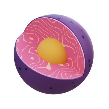 Nucleus  3D Icon