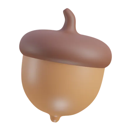 Nueces de roble  3D Icon