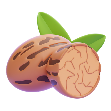 Nutmeg  3D Icon