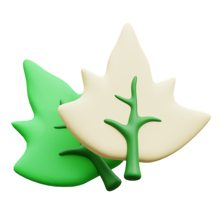 Oak Leaf  3D Icon