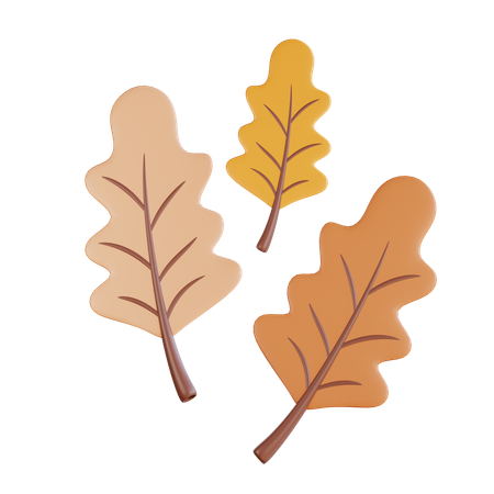 Oak Leaf  3D Icon