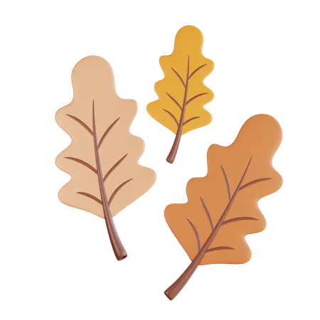 Oak Leaf  3D Icon