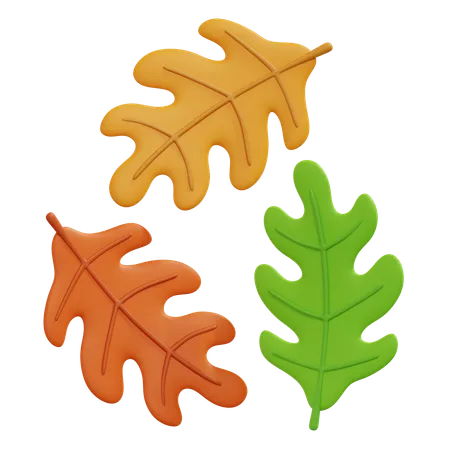 Oak Leaves  3D Icon