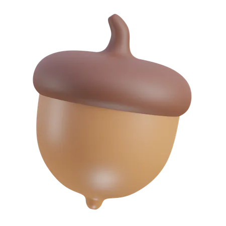 Oak Nuts  3D Icon