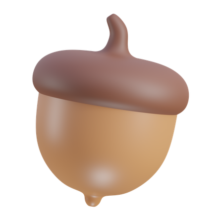 Oak Nuts  3D Icon