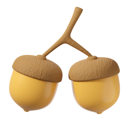 Oak Nuts  3D Icon