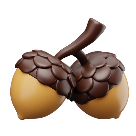 Oak Nuts  3D Icon