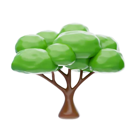 Oak Tree  3D Icon