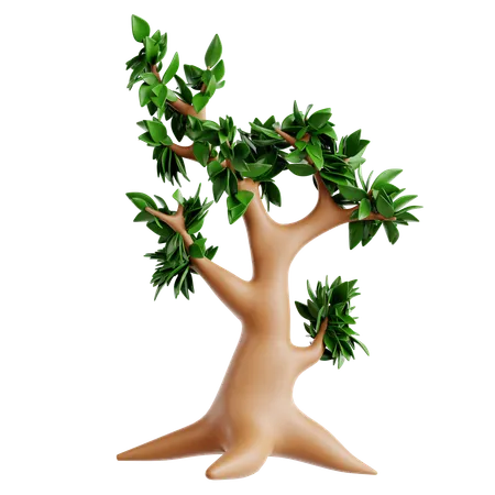 Oak Tree  3D Icon