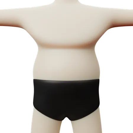 Obese Body 3 D Illustration 3D Icon