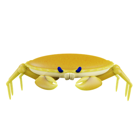 Ocean Crab  3D Icon