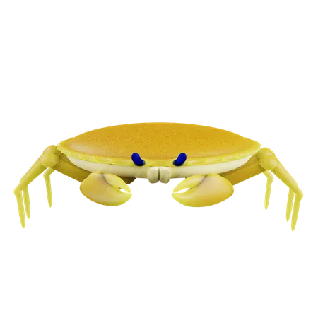 Ocean Crab  3D Icon