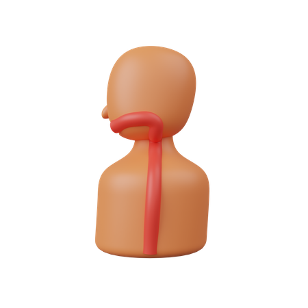 Œsophage  3D Icon